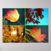 秋壮麗 ポスター (正面)