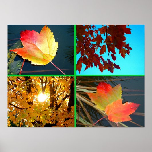 秋壮麗 ポスター (正面)