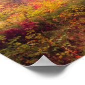 秋威厳のあるの森の風景 ポスター (角)