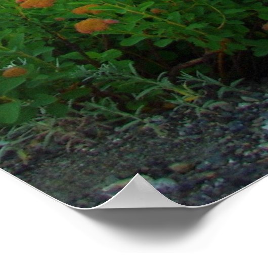 秋山山 ポスター (角)