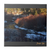 秋川 タイル (正面)