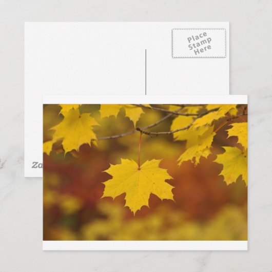 秋感動的 ポストカード (正面/裏面)