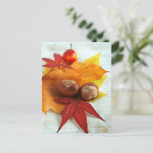 秋感覚 ポストカード (スタンド正面)