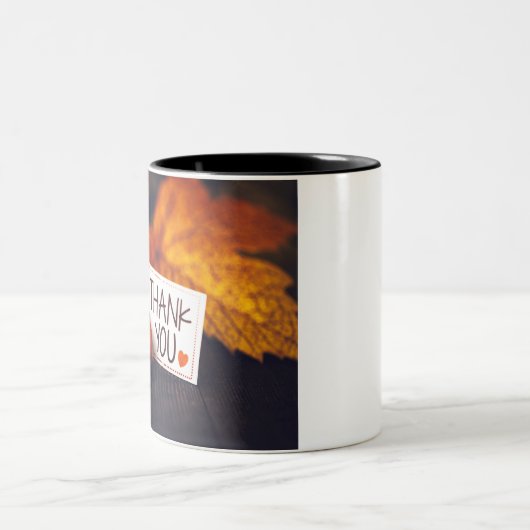 秋感謝撮影カボチャ写真 ツートーンマグカップ (中央)