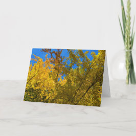 秋感謝祭カード3 シーズンカード