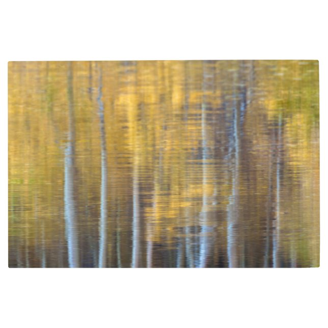 秋抽象芸術 メタルプリント (正面)