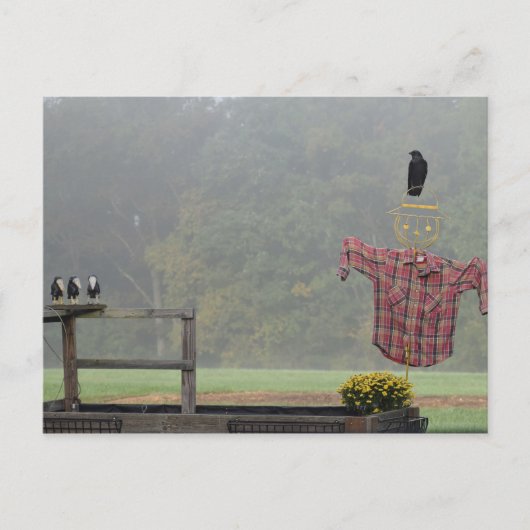 秋挨拶！かかしからよ！ ポストカード (正面)