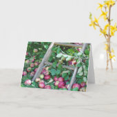 秋日のりんご カード (黄色い花)