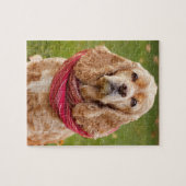 秋日のアメリカン・コッカー・スパニエルのアウトドア ジグソーパズル (横)