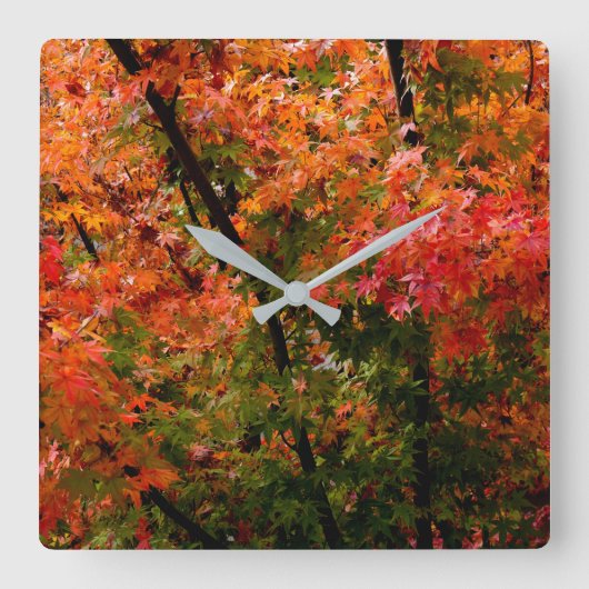 秋日本ののカエデ スクエア壁時計 (正面)