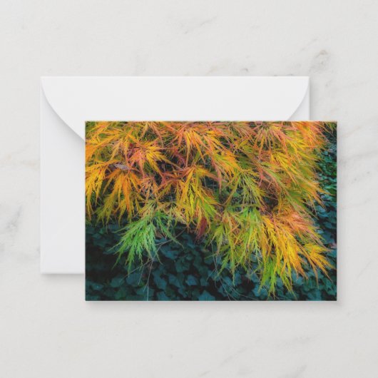 秋日本のの紅葉 ノートカード (正面)