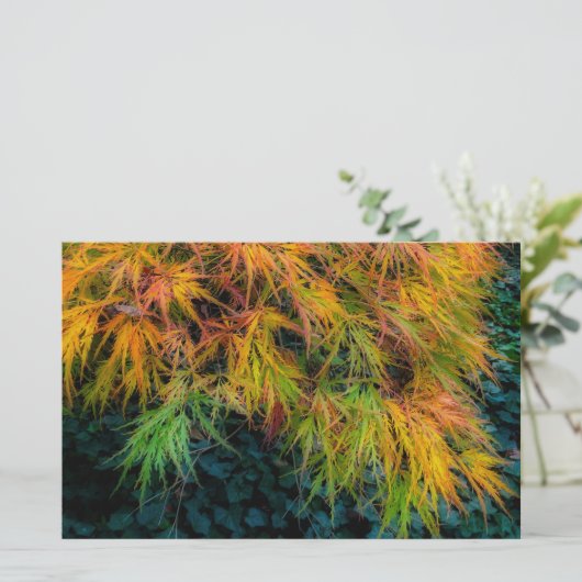 秋日本のの紅葉 便箋 (スタンド正面)