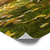 秋日本の色の楓 ポスター (角)