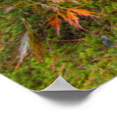 秋日本の色の楓 ポスター (角)