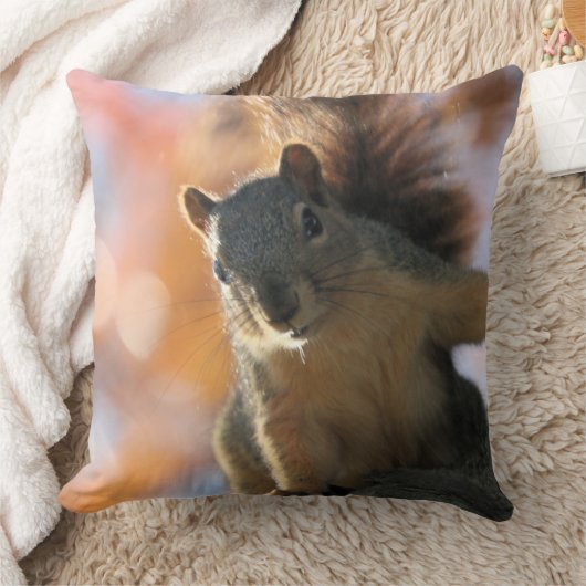 秋日 クッション (ブランケット)