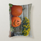 秋景 アクセントクッション (正面(垂直))