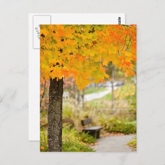 秋景 ポストカード (正面/裏面)