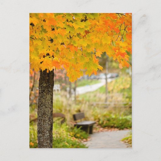 秋景 ポストカード (正面)