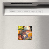 秋景 マグネット (インサイチュ (食洗機))