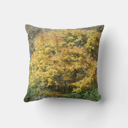 秋期 クッション (裏面)