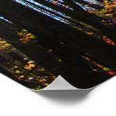 秋木ポスター ポスター (角)