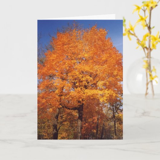 秋木1カード カード (黄色い花)