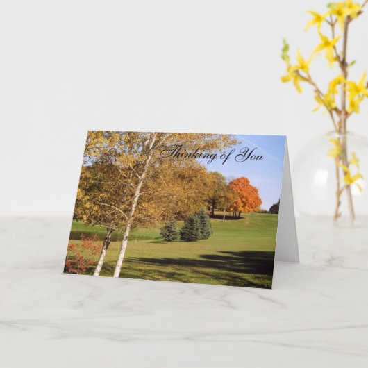 秋木2玩具 カード (黄色い花)