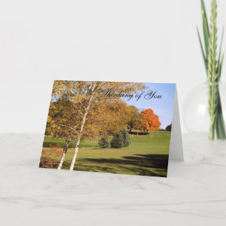 秋木2玩具 カード