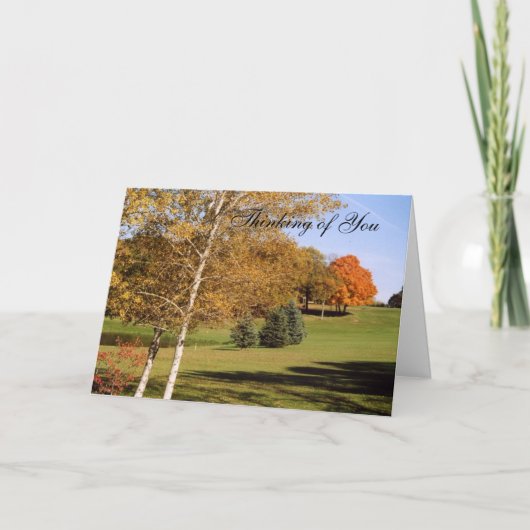 秋木2玩具 カード (正面)