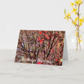 秋木 カード (黄色い花)