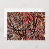 秋木 ポストカード (正面/裏面)