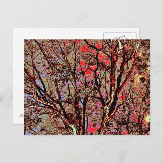 秋木 ポストカード (正面/裏面)