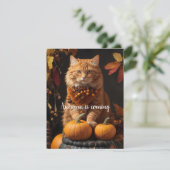 秋来は シーズンカード (スタンド正面)