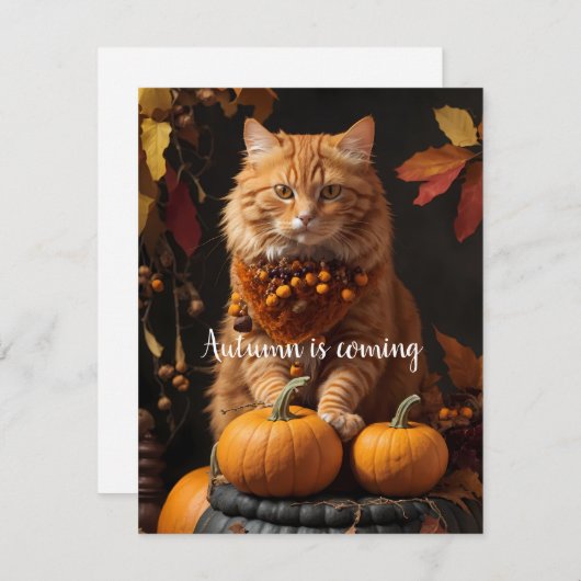 秋来は シーズンカード (正面/裏面)