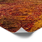 秋林道 ポスター (角)