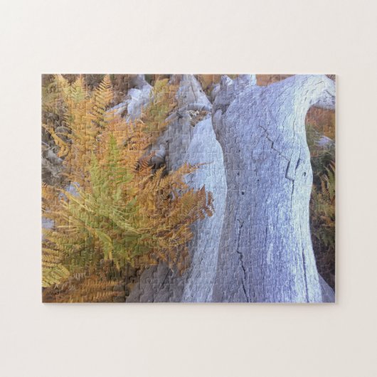 秋林 ジグソーパズル (横)
