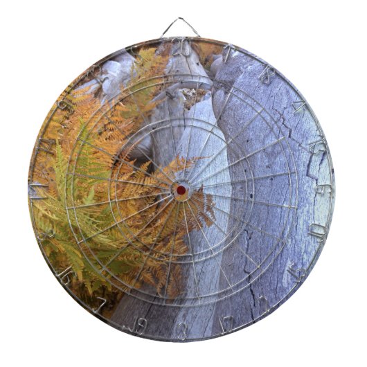 秋林 ダーツボード (正面)