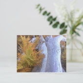 秋林 ポストカード (スタンド正面)