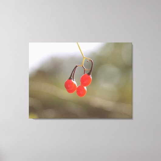 秋果実。 キャンバスプリント (正面)