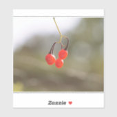 秋果実。 シール (シート)