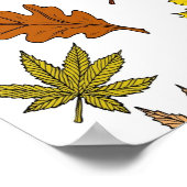 秋柄 ポスター (角)