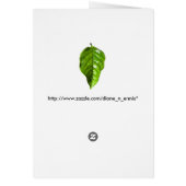 秋柿の葉 (裏面)