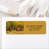 秋栗の馬2頭 ラベル (インサイチュ)