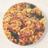 秋梅 コースター (正面)