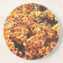 秋梅 コースター