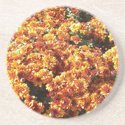 秋梅 コースター (正面)