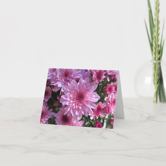 秋梅 ノートカード (正面)