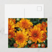 秋梅 ポストカード (正面/裏面)