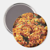 秋梅 マグネット (正面/裏面)