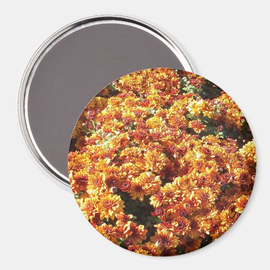 秋梅 マグネット (正面/裏面)